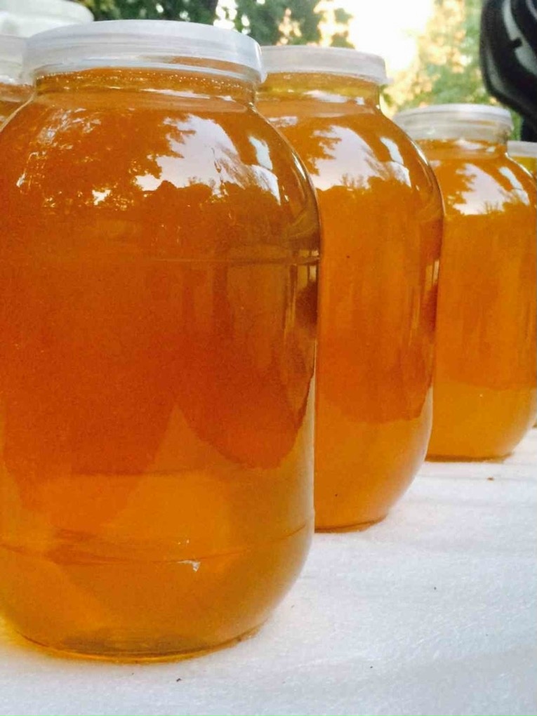 Как хранить мёд, чтобы он не терял пользу 🍯 — Пасека Ермакова