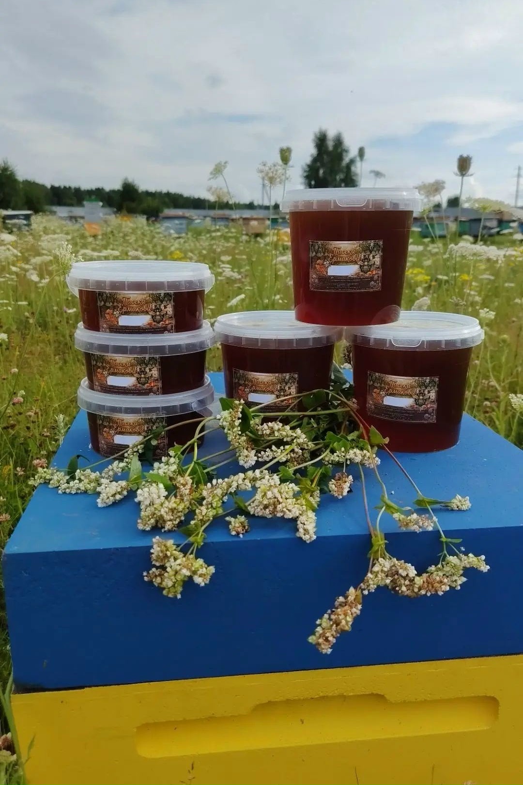 🍯 Друзья, отличные новости! Мы докачали свежий гречишный мёд — и он пр… — Пасека Ермакова