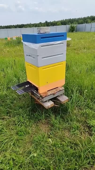 Видео: Видео с пасеки 🐝 — Пасека Ермакова